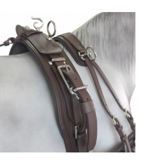 Enganche Tannery Anatómico