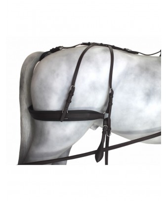 Enganche Tannery Anatómico