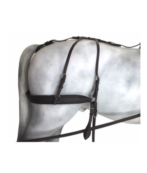 Enganche Tannery Anatómico