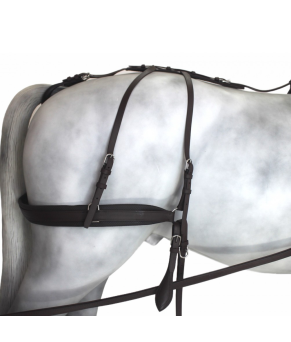 Enganche Tannery Anatómico