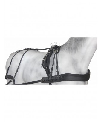 Enganche Tannery Anatómico