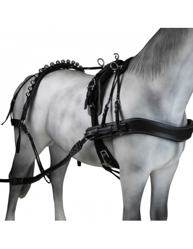 Enganche Calesero Pecherin Eco