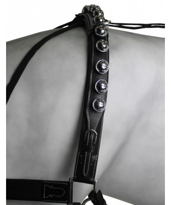 Enganche Calesero Pecherin Eco