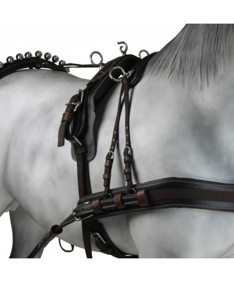 Enganche Calesero Pecherin Eco