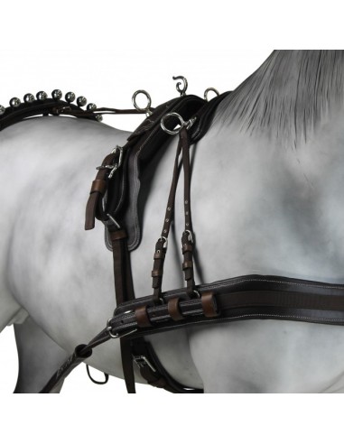 Enganche Calesero Pecherin Eco