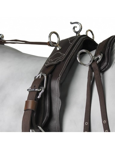 Enganche Calesero Pecherin Eco