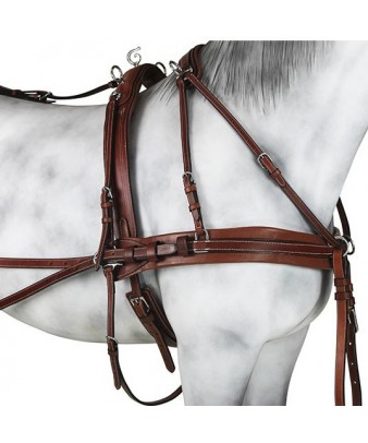 Enganche Pecherín Diplomático