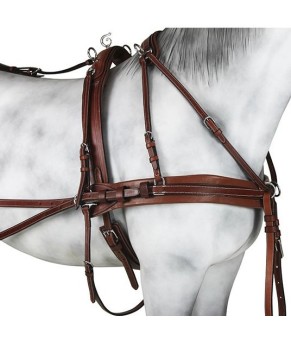 Enganche Pecherín Diplomático