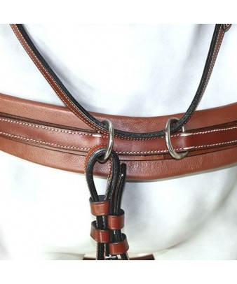 Enganche Pecherín Diplomático