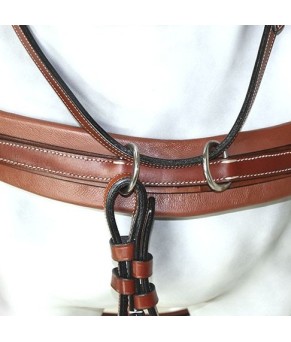 Enganche Pecherín Diplomático