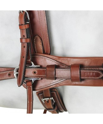 Enganche Pecherín Diplomático