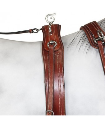 Enganche Pecherín Diplomático