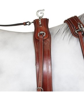 Enganche Pecherín Diplomático