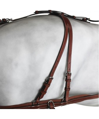 Enganche Pecherín Diplomático