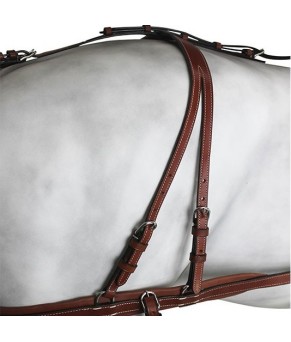 Enganche Pecherín Diplomático