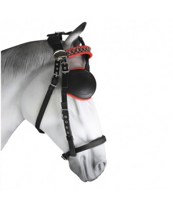 Enganche Sintético Combinado Pecherín Anatómico