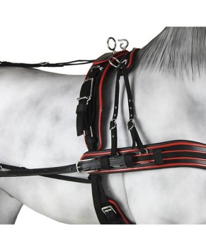 Enganche Sintético Combinado Pecherín Anatómico