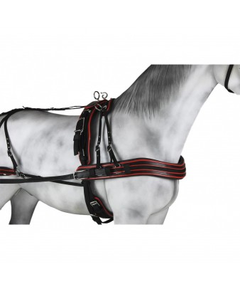 Enganche Sintético Combinado Pecherín Anatómico