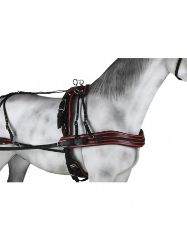 Enganche Sintético Combinado Pecherín...