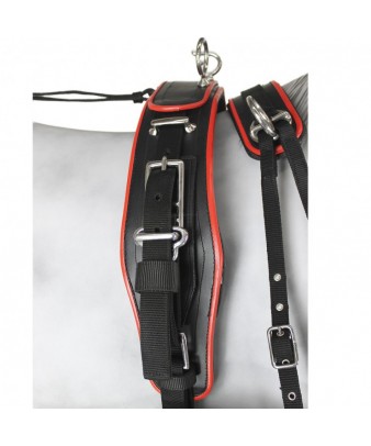 Enganche Sintético Combinado Pecherín Anatómico