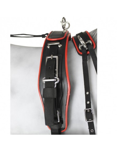 Enganche Sintético Combinado Pecherín...