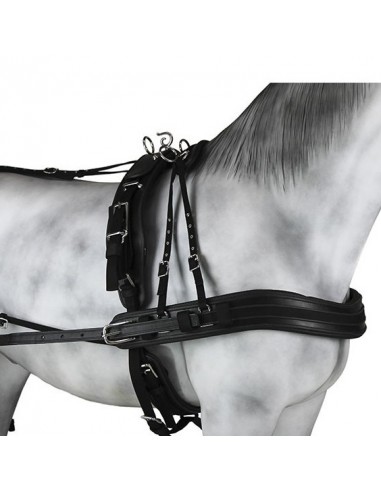 Enganche Sintético Combinado Pecherín...