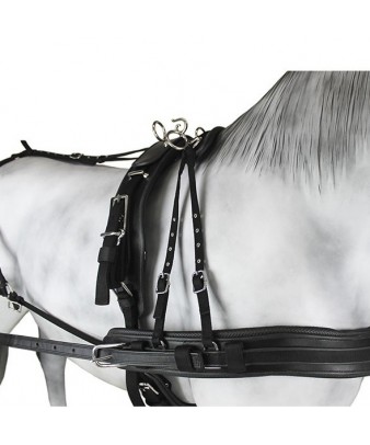 Enganche Sintético Combinado Pecherín Anatómico