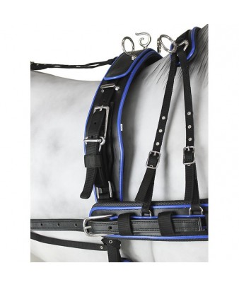 Enganche Sintético Combinado Pecherín Anatómico