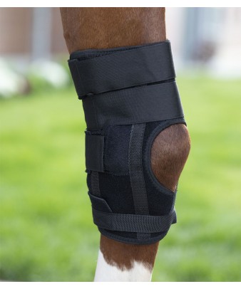 Protectores de corvejones... 2