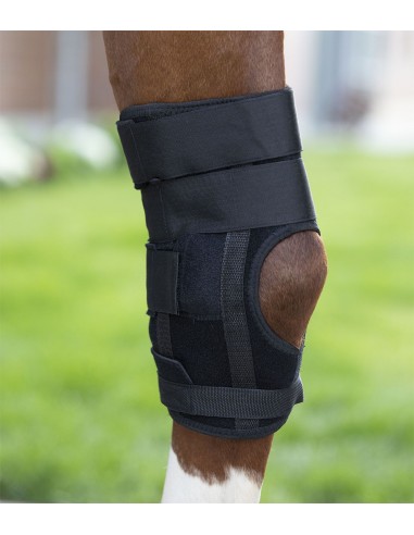 Protectores de corvejones W-Health &...