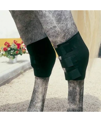 Protector Neopreno TF...
