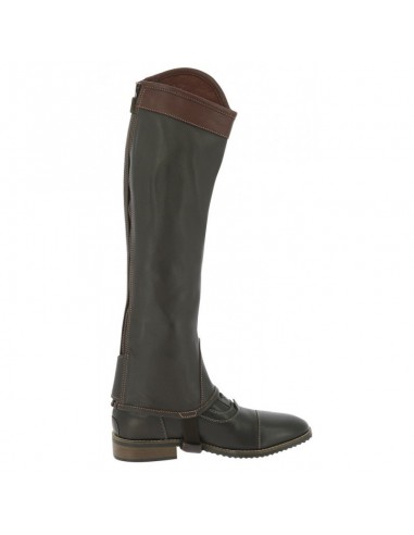 Polaina Equitheme Elite | Marrón