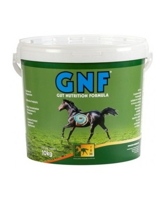 GNF úlcera + probiótico |...