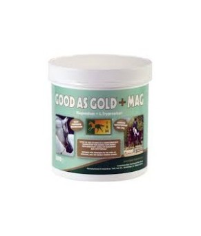 Good as gold magnesio | 500 gr