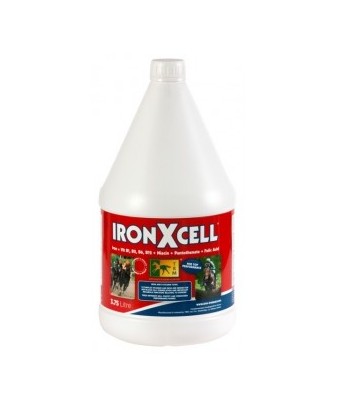 Iron X Cell | 3.75 L