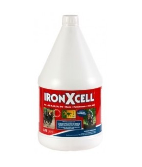 Iron X Cell | 3.75 L