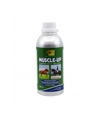 Muscle up | 450 ml