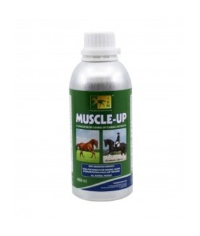 Muscle up | 450 ml