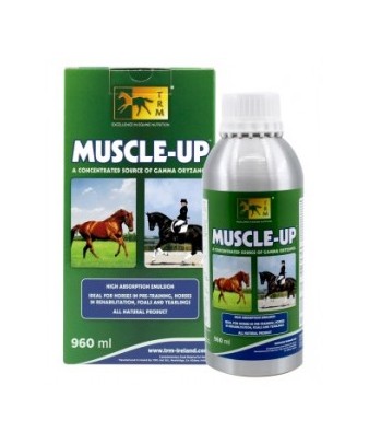 Muscle up | 960 ml