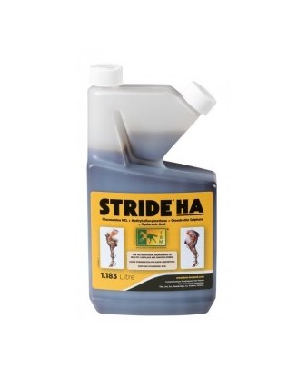 Stride HA solucion | 1.183L
