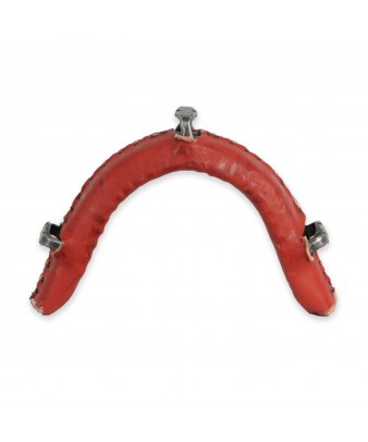 Muserola fragua forrada 'Los Nietos Dressage' | 3 pasadores