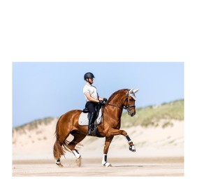 Mantilla BR Evy doma