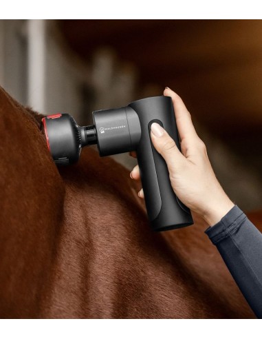 Masajeador Pro W-Health & Care frío y...