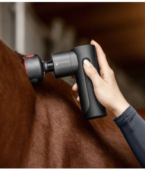 Masajeador Pro W-Health & Care frío y calor