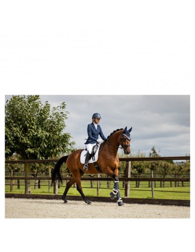 Chaqueta de competición BR Nottingham...