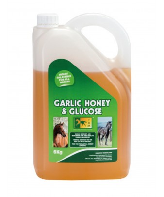 Jarabe de ajo puro | 6 kg