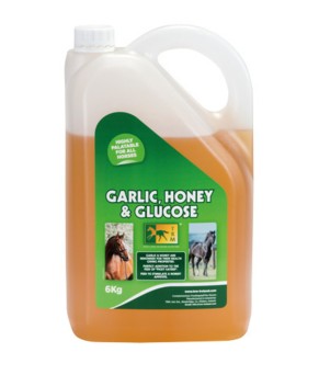 Jarabe de ajo puro | 6 kg