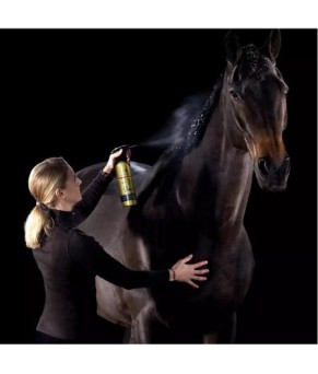 Acondicionador para Crin y Cola Gold Edition C&D&M | 500ml