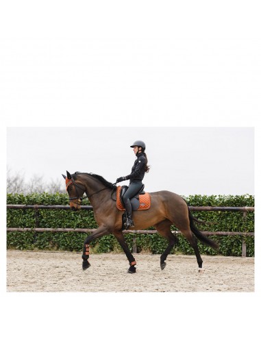 Mantilla de doma Anky