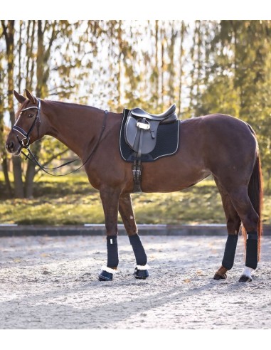 Mantilla guateada 'Lugano' de Waldhausen